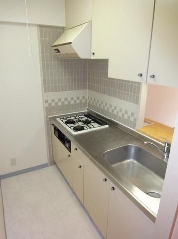 キッチン　※同建物　同タイプ間取り　別室設備施工例　現況優先