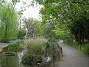 公園　清水が丘緑地（公園）まで322m