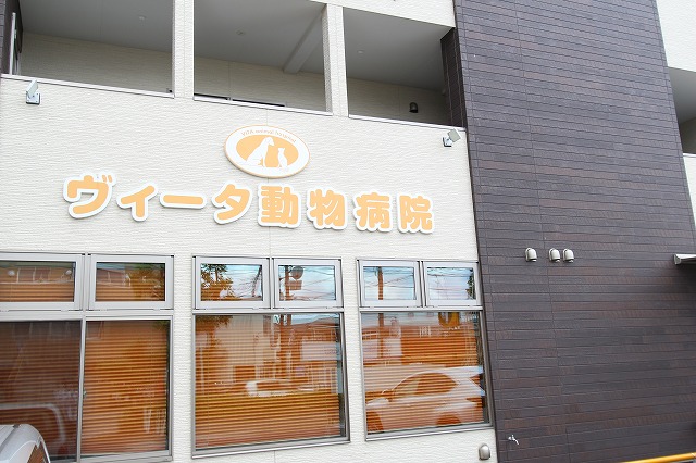 ニューハイム島田の周辺写真