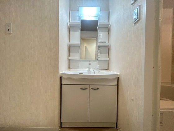 洗面設備　※別部屋の写真です