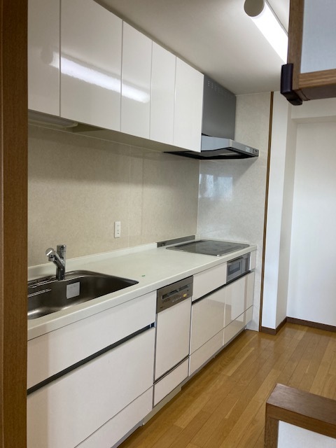 ラピタス31西宮のキッチン写真