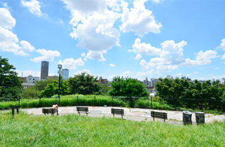 公園　西郷山公園（公園）まで323m