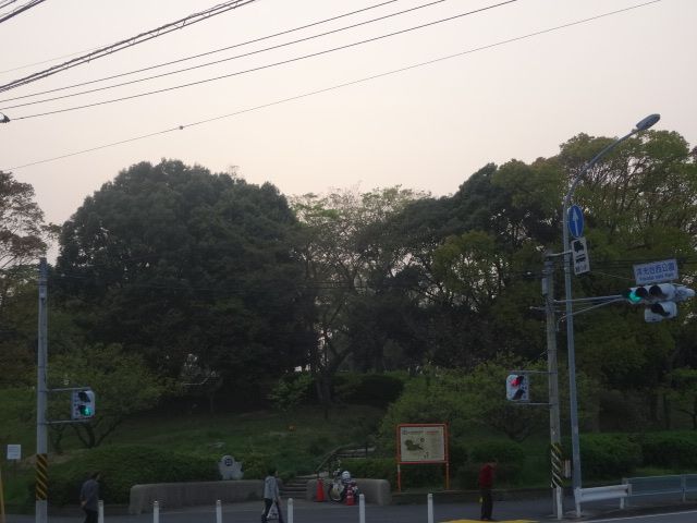 公園　洋光台西公園（公園）まで4300m