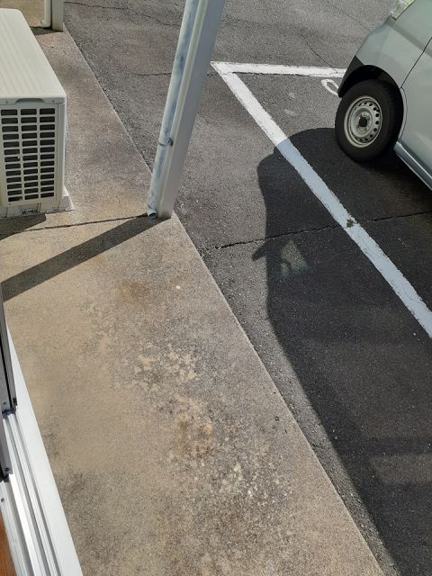 シティハイツさちのその他写真
