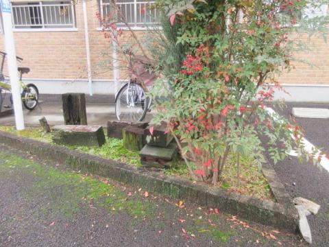 庭　中庭（イメージ）