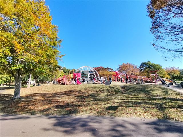 グランパレ泉の公園