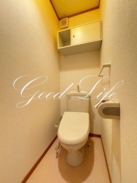 ＪＲ加古川線 新西脇駅 徒歩36分 2階建 築22年のトイレ写真