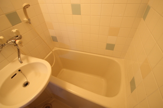 バス・シャワールーム　※別部屋の写真です