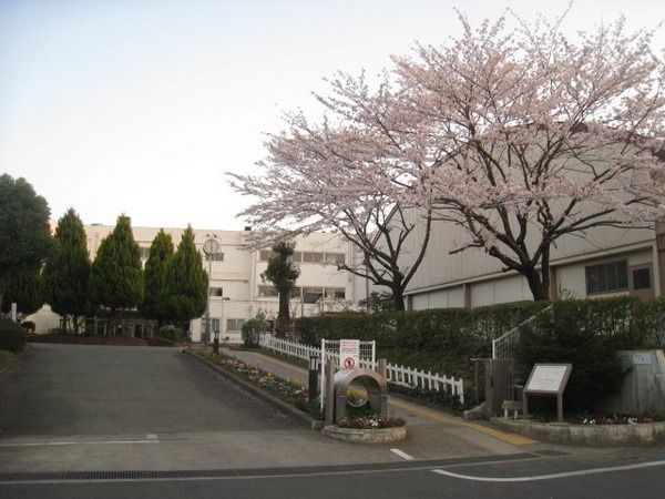 小学校　多摩市立連光寺小学校（小学校）まで443m