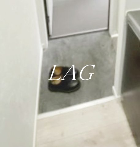 玄関　玄関（同仕様）です。