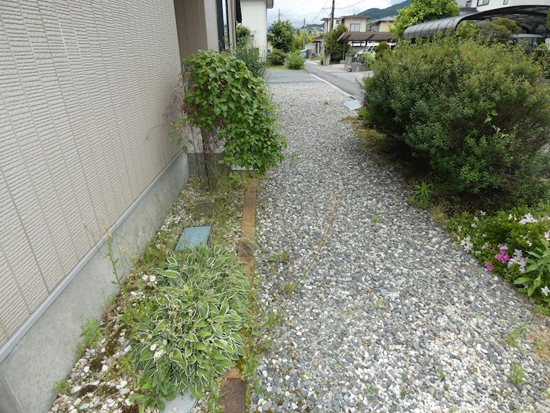 庭