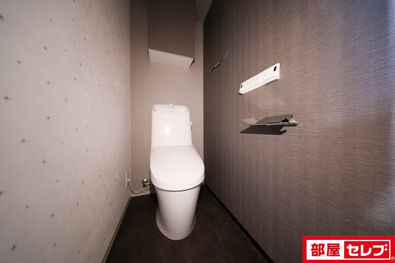 プレサンスレイズ茶屋ヶ坂のトイレ写真