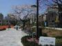 公園　新宿区立富久さくら公園（公園）まで333m