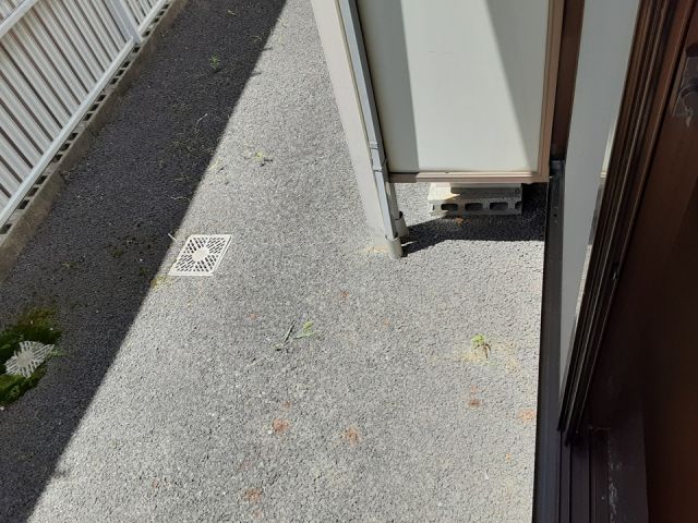 庭