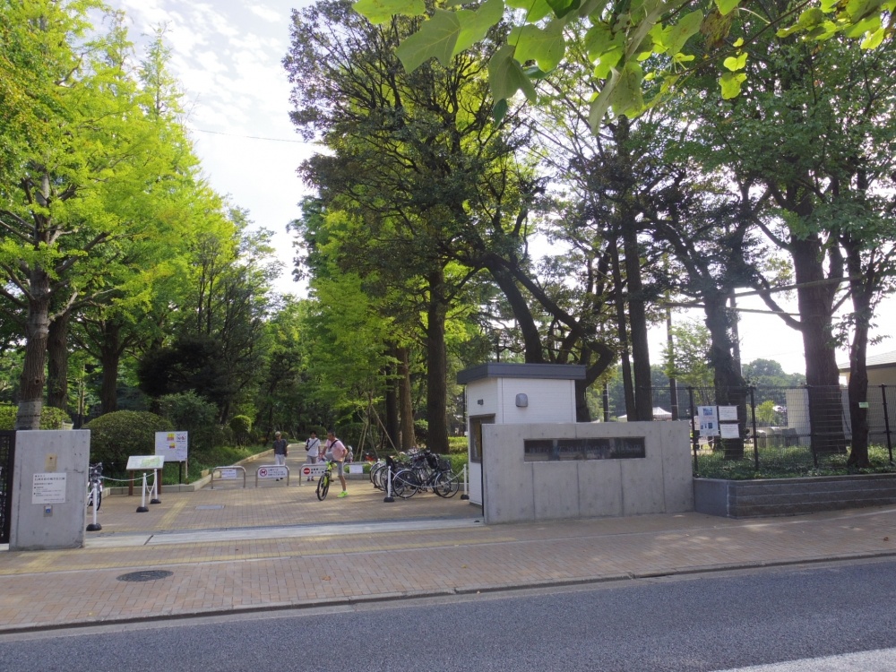 公園　石神井松の風文化公園（公園）まで507m
