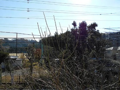 東急東横線 大倉山駅 徒歩20分 2階建 築45年のその他写真