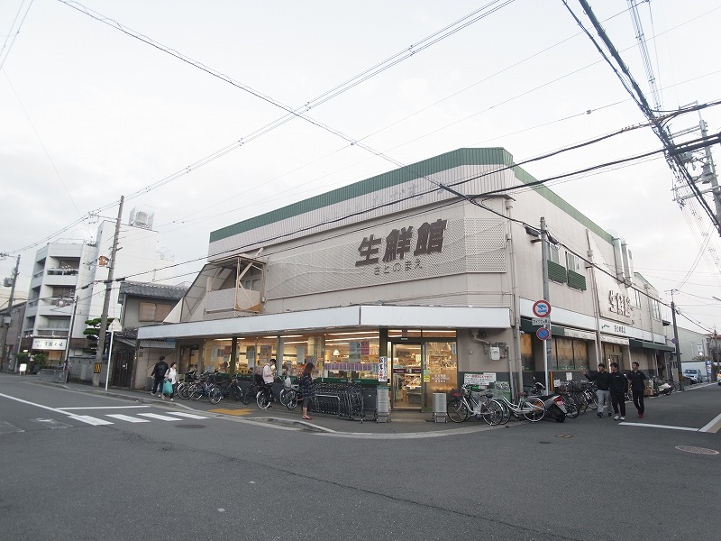 グリーンカルテットの周辺写真
