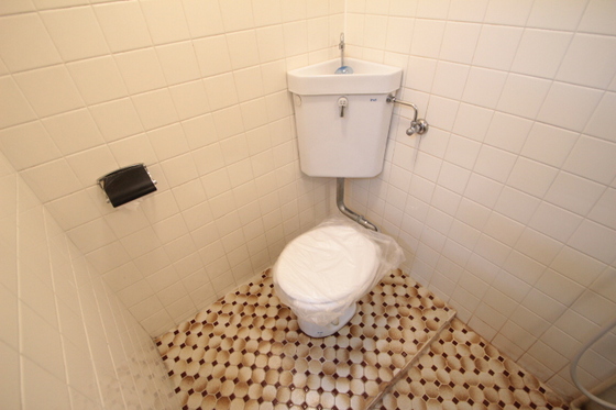 トイレ　※別号室の写真です