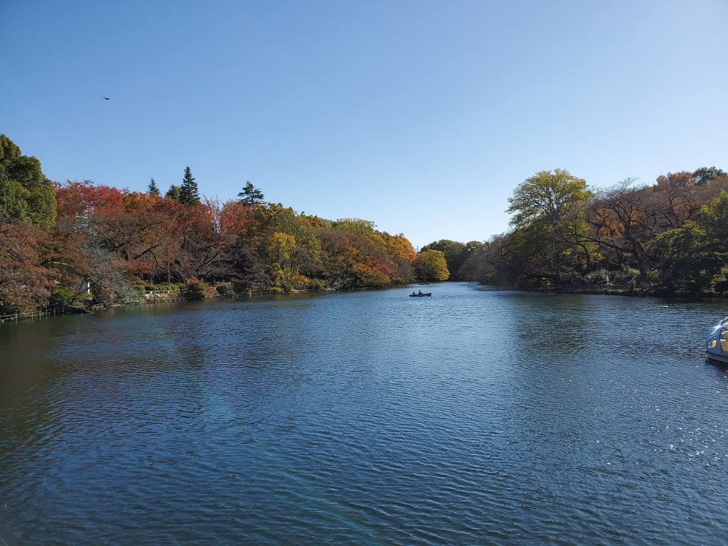 【三鷹リバティの公園】