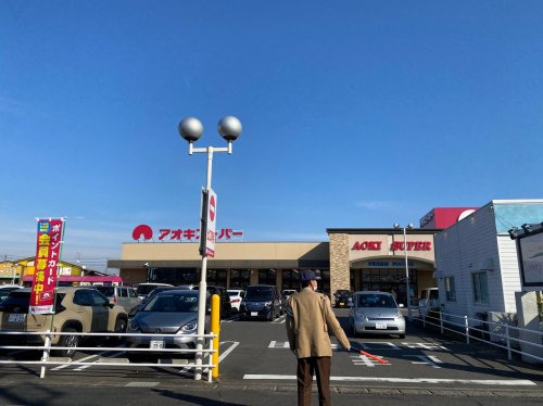 スーパー　アオキスーパー 一宮店（スーパー）まで562m
