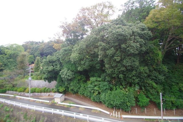 眺望　★お部屋探しはタウンハウジング稲田堤店まで★