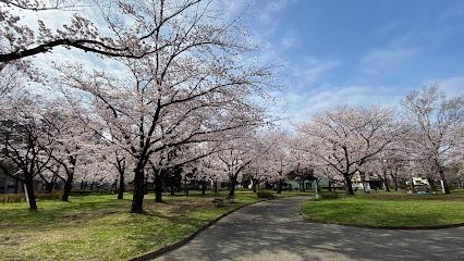 公園　東綾瀬公園（公園）まで350m