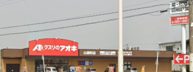 ドラックストア　クスリのアオキ山居町店（ドラッグストア）まで1640m