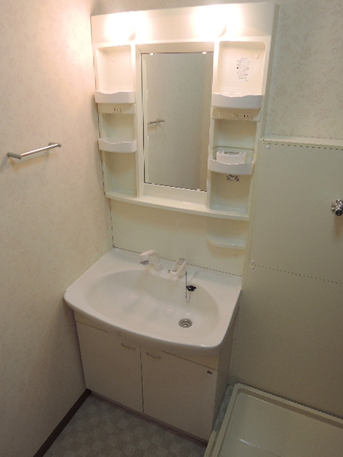 洗面設備　あったら嬉しいシャンプードレッサー