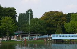 公園　水元公園（公園）まで1585m