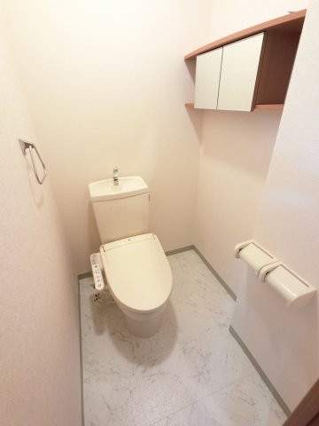 ＪＲ成田線 久住駅 徒歩8分 2階建 築22年のトイレ写真