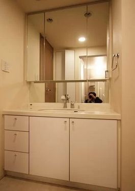 洗面設備　別タイプの住戸です（参考写真）