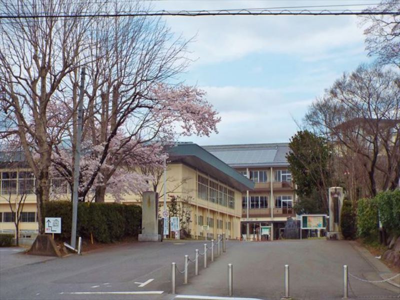 【ハナミズキ　Ａの小学校】