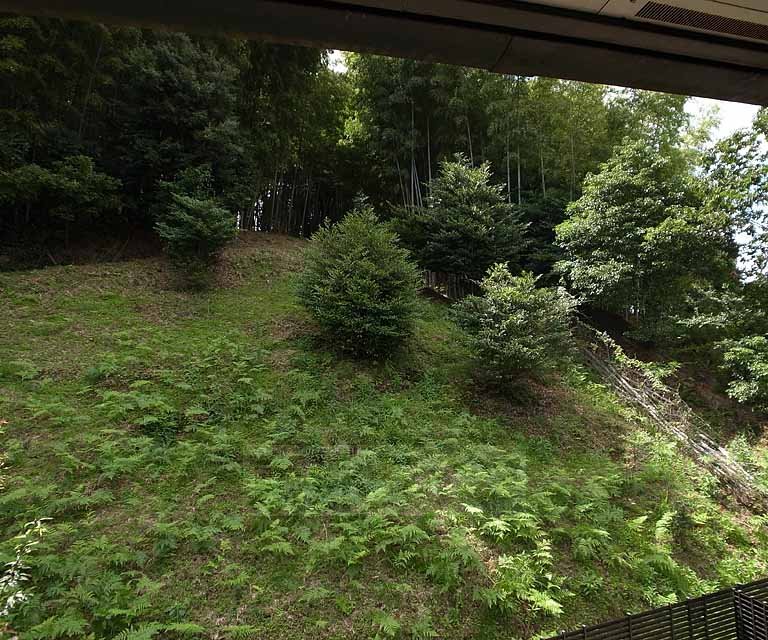 眺望　周辺は静かな環境です・