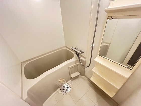 バス・シャワールーム　※別部屋の写真です