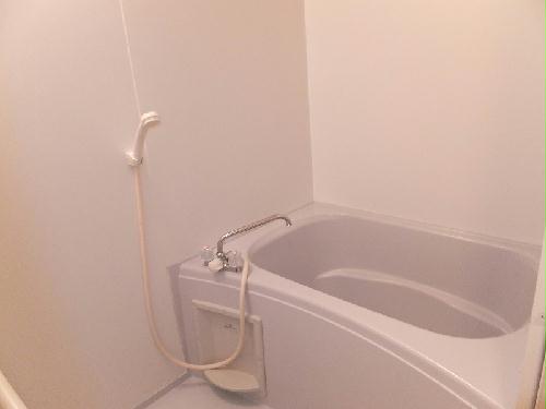 バス・シャワールーム　※写真と実物が異なる場合は実物を優先