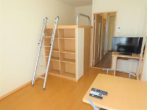 居室・リビング　ハイベッドタイプのお部屋です