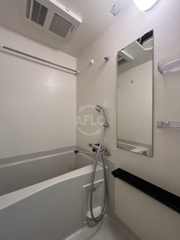 バス・シャワールーム　プレサンス大国町ブライス　風呂