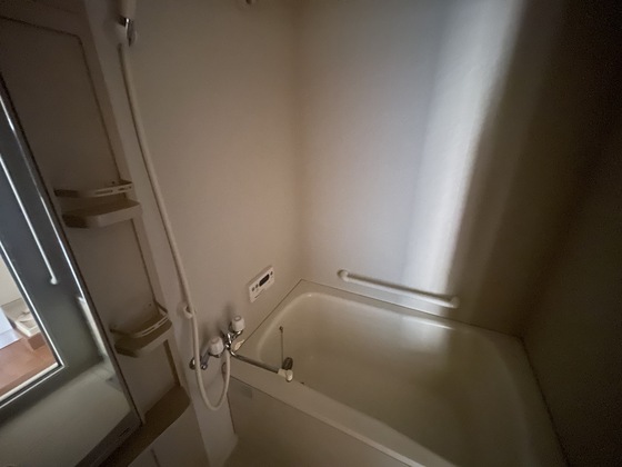 バス・シャワールーム　※別部屋の写真です