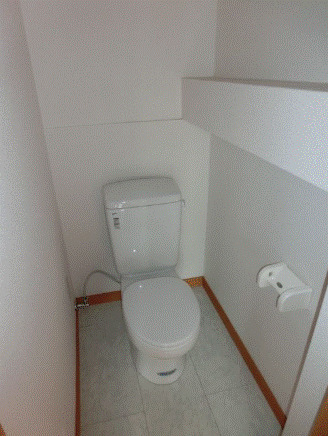 トイレ　※同タイプ別部屋の画像です