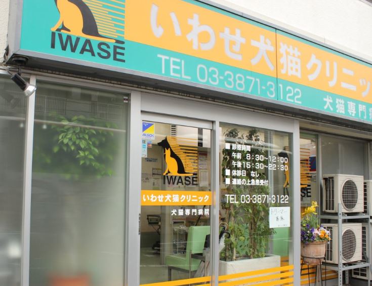 病院　いわせ犬猫クリニック（病院）まで915m