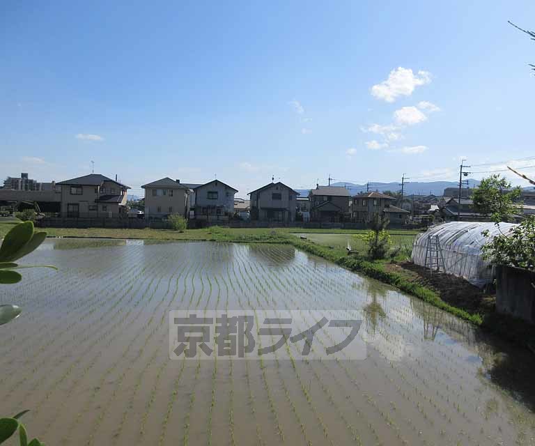 眺望　落ち着いた風景ですね！