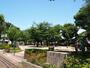 公園　常盤台公園（公園）まで120m