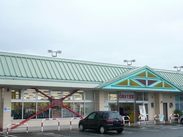 スーパー　タイヨー都城郡元店（スーパー）まで1100m
