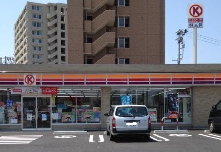 コンビニ　サークルＫ柳都大橋南店（コンビニ）まで435m
