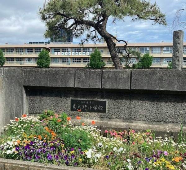 小学校　南大野小学校（小学校）まで973m