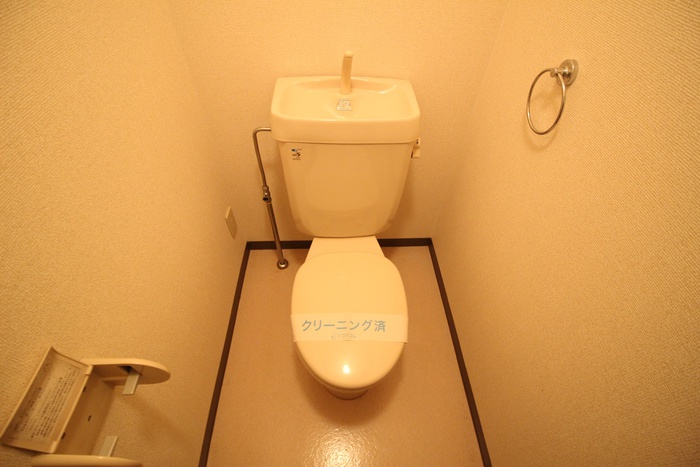 ハイライフIIのトイレ写真