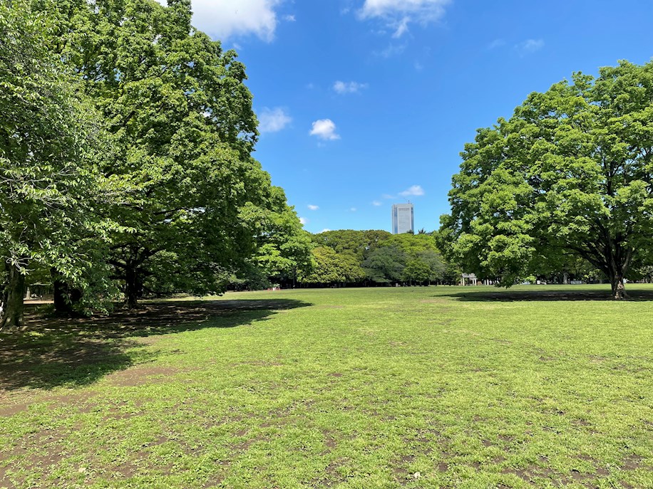 【パルク北参道の公園】