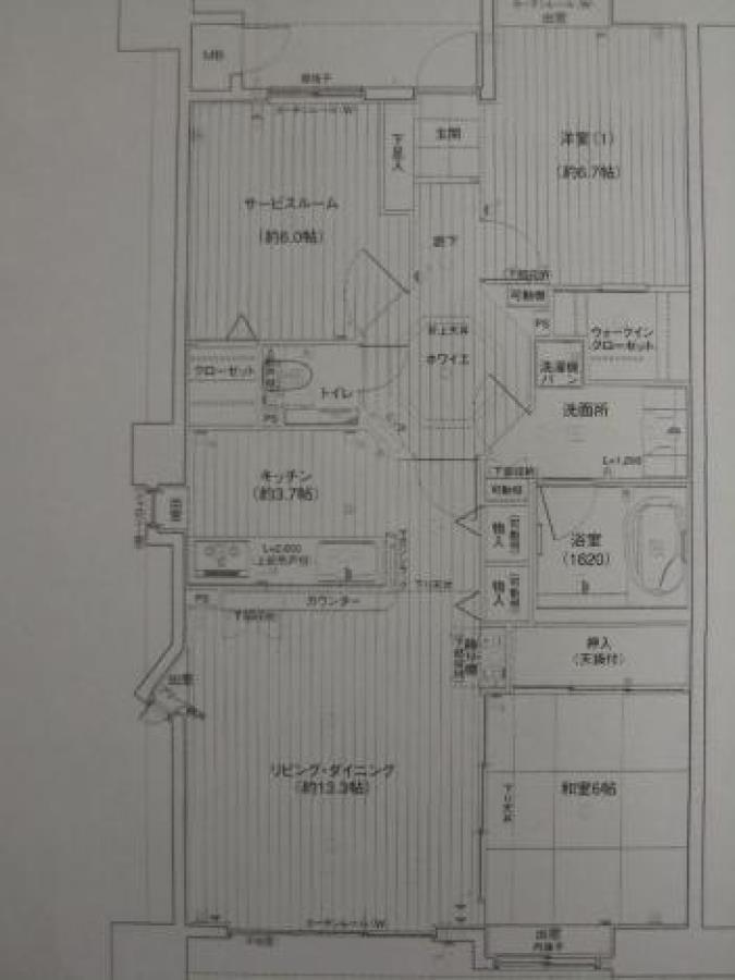 フローレンス橘公園グランドアーク　１２０４号室の間取り