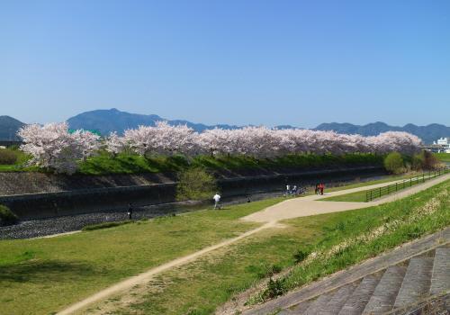 【1番館の公園】