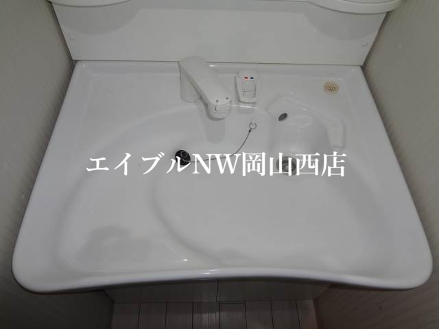 【岡山市北区内山下のマンションの洗面設備】